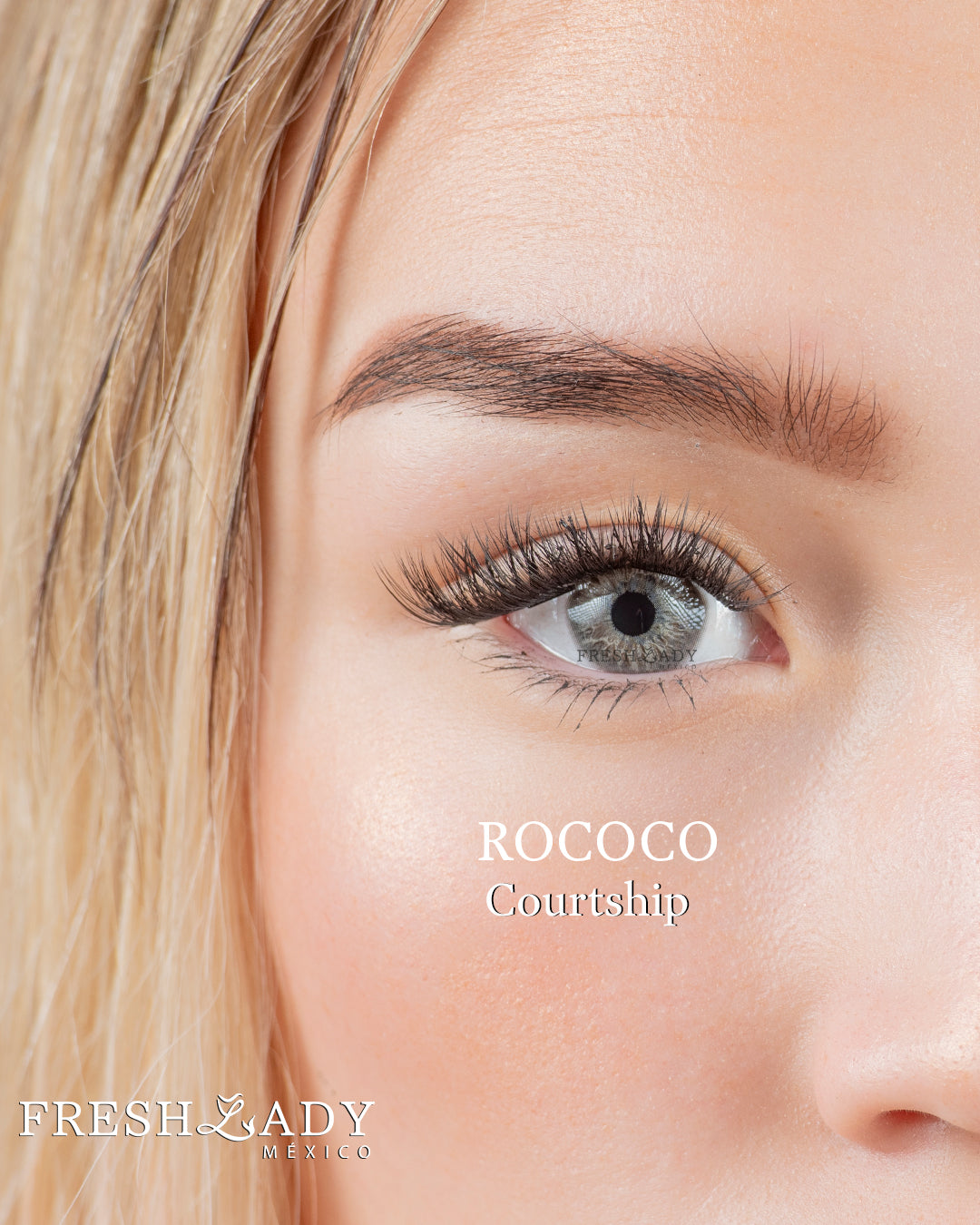 Gray Courtship: ROCOCO CAJA de 10 lentes