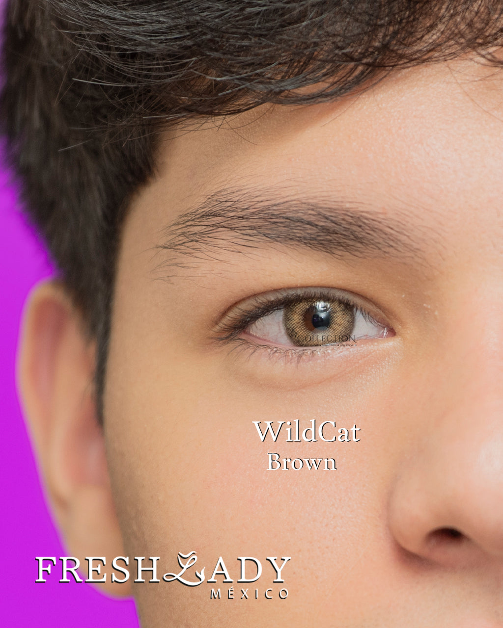 Brown: WildCat