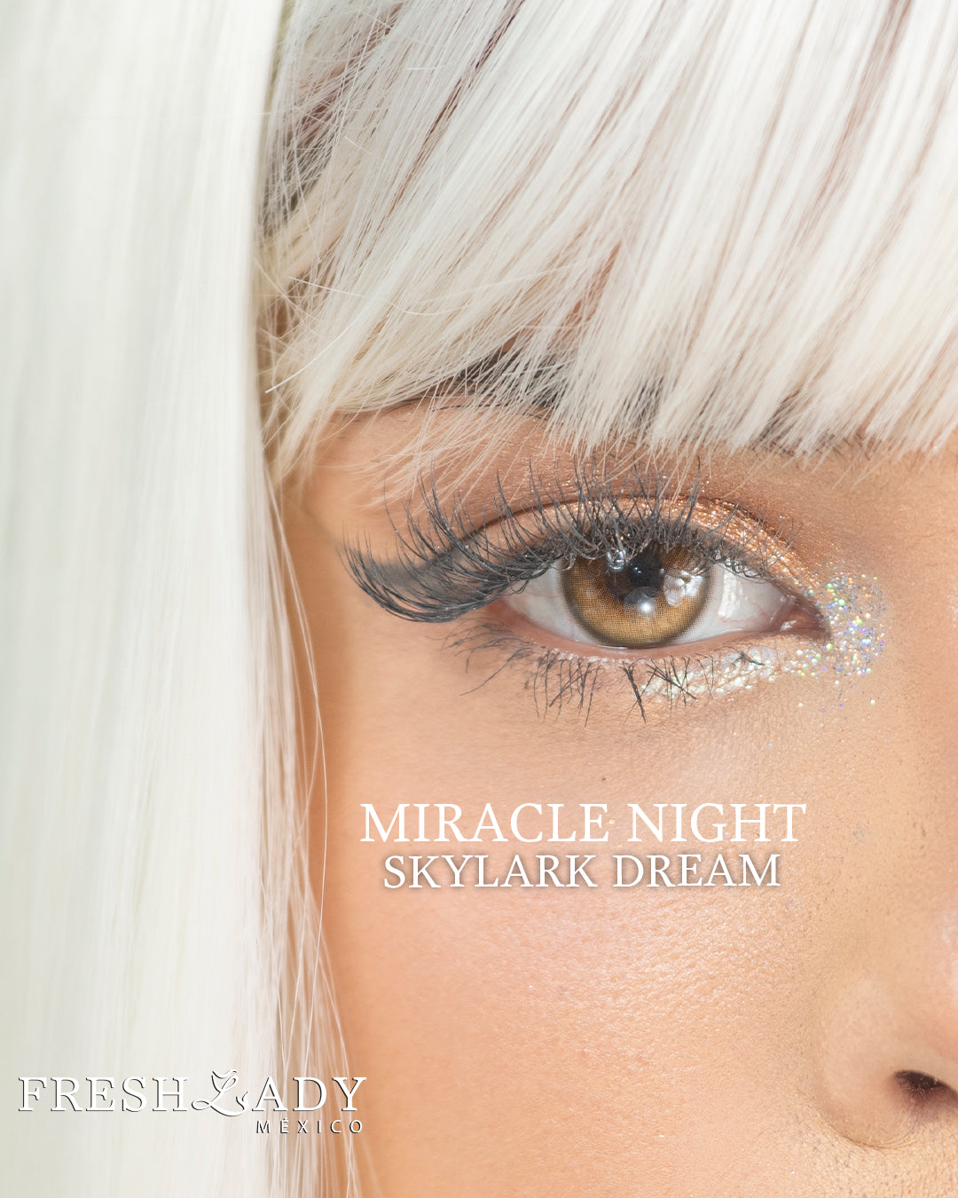 Brown Skylark Dream: MIRACLE NIGHT