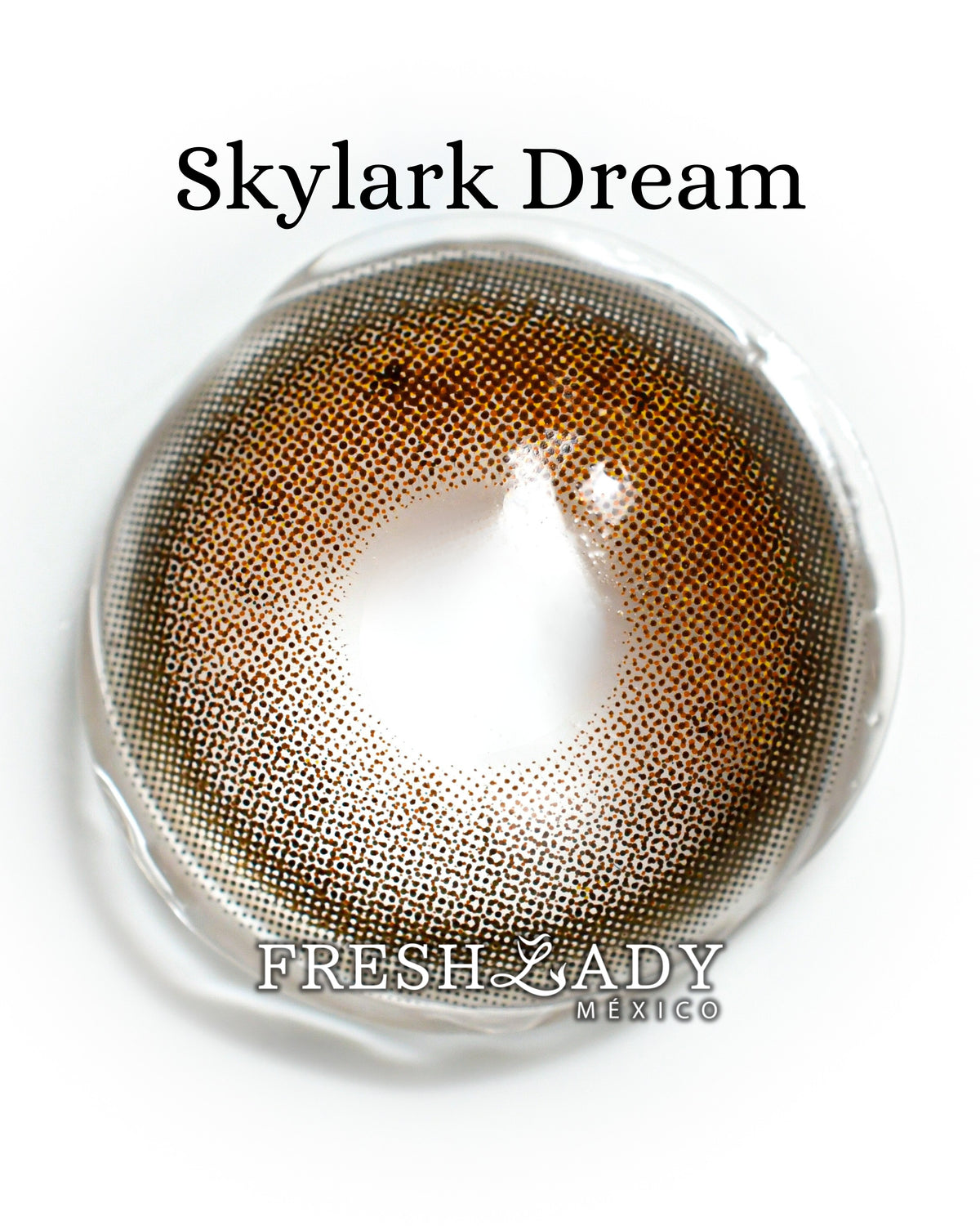 Brown Skylark Dream: MIRACLE NIGHT CAJA de 10 lentes