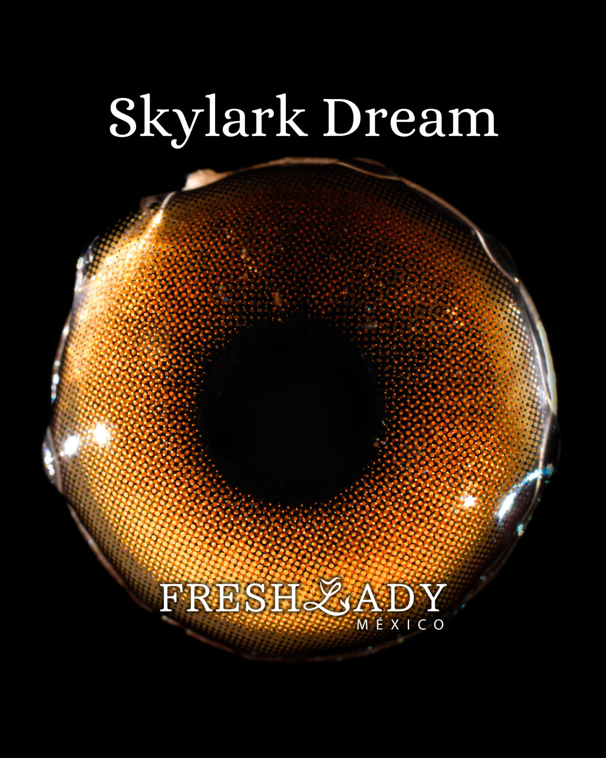 Brown Skylark Dream: MIRACLE NIGHT