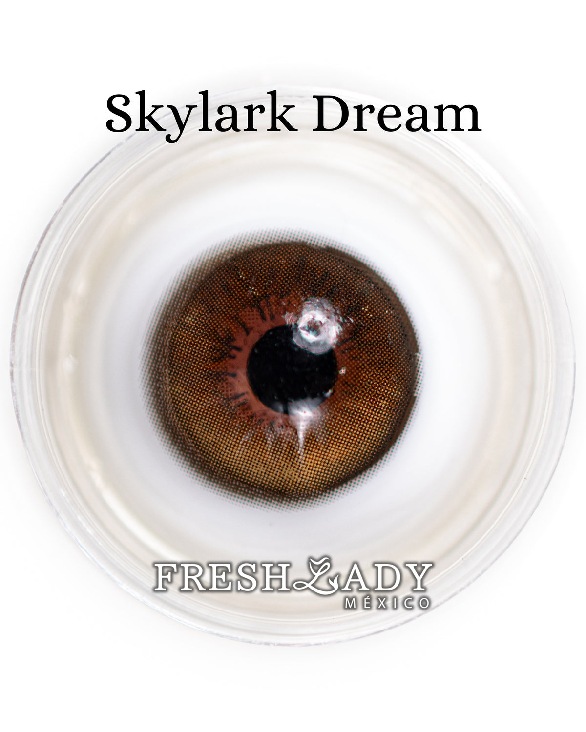 Brown Skylark Dream: MIRACLE NIGHT CAJA de 10 lentes