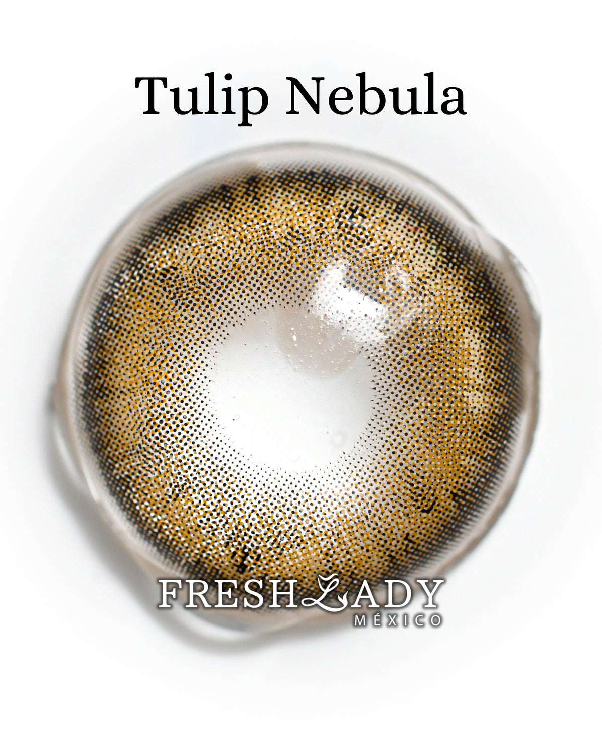 Hazel Tulip: NEBULA