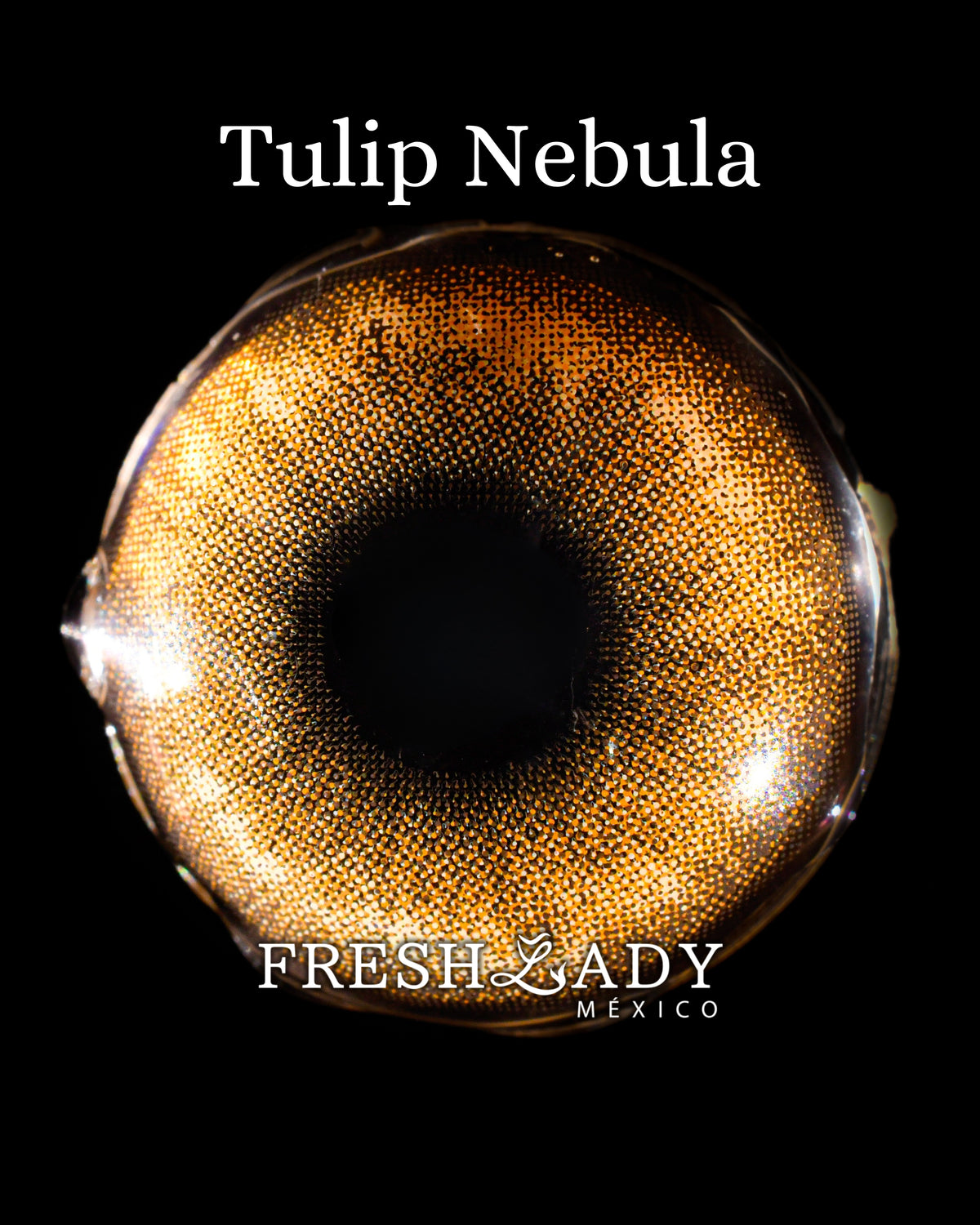 Hazel Tulip: NEBULA