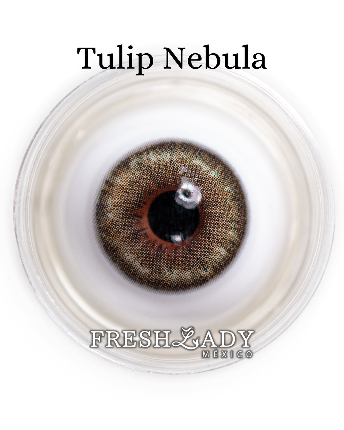 Hazel Tulip: NEBULA