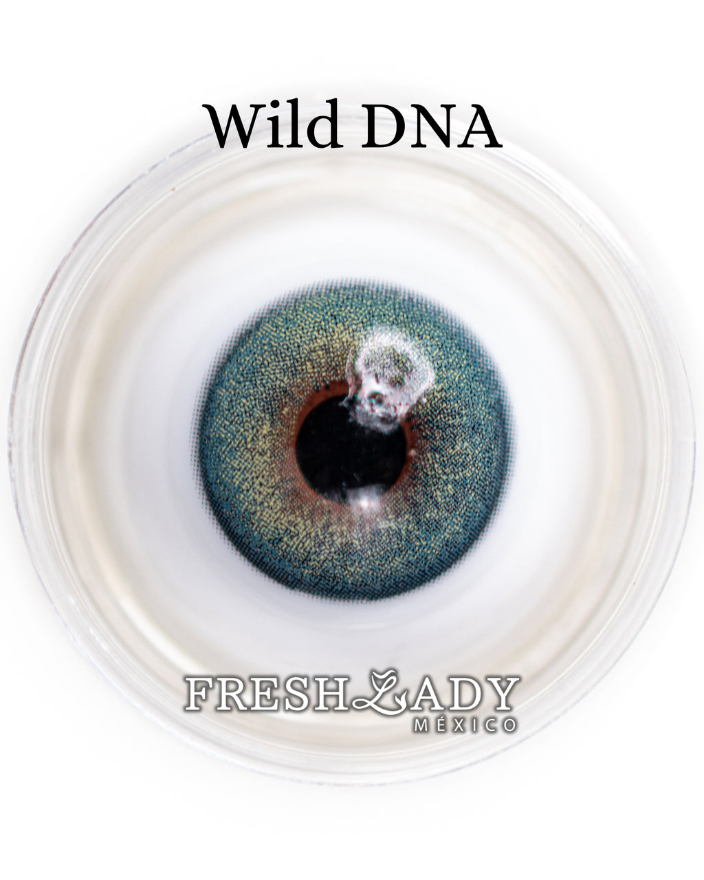Green Wild DNA: WILDLOOK CAJA de 10 lentes