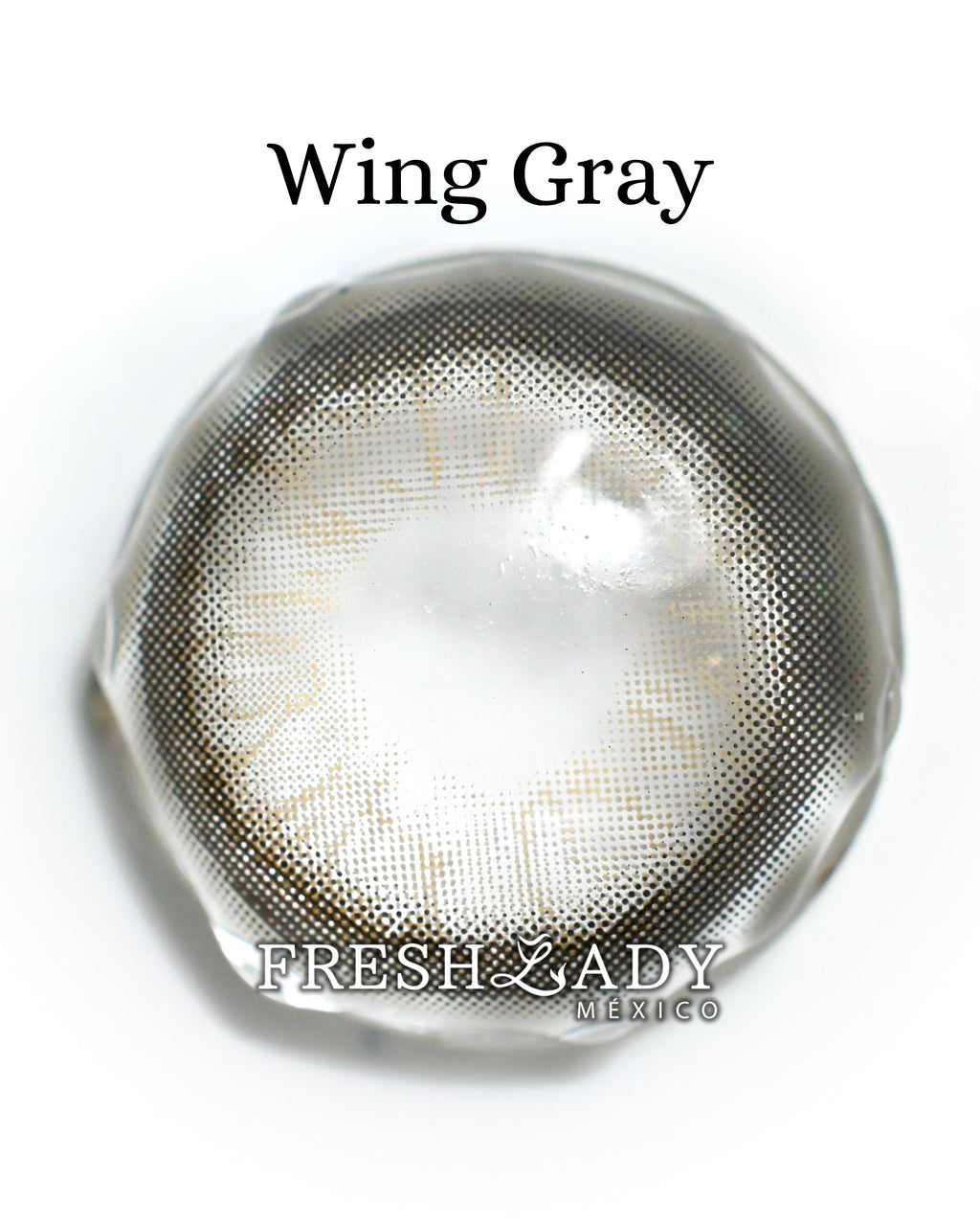 Gray Wing: Angelic Glow