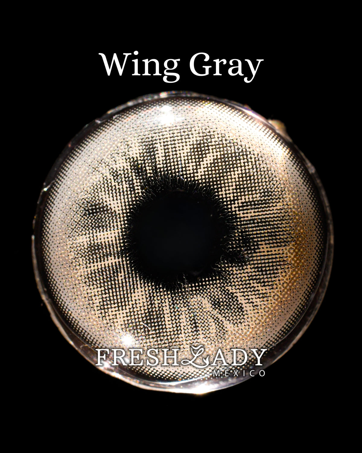 Gray Wing: Angelic Glow