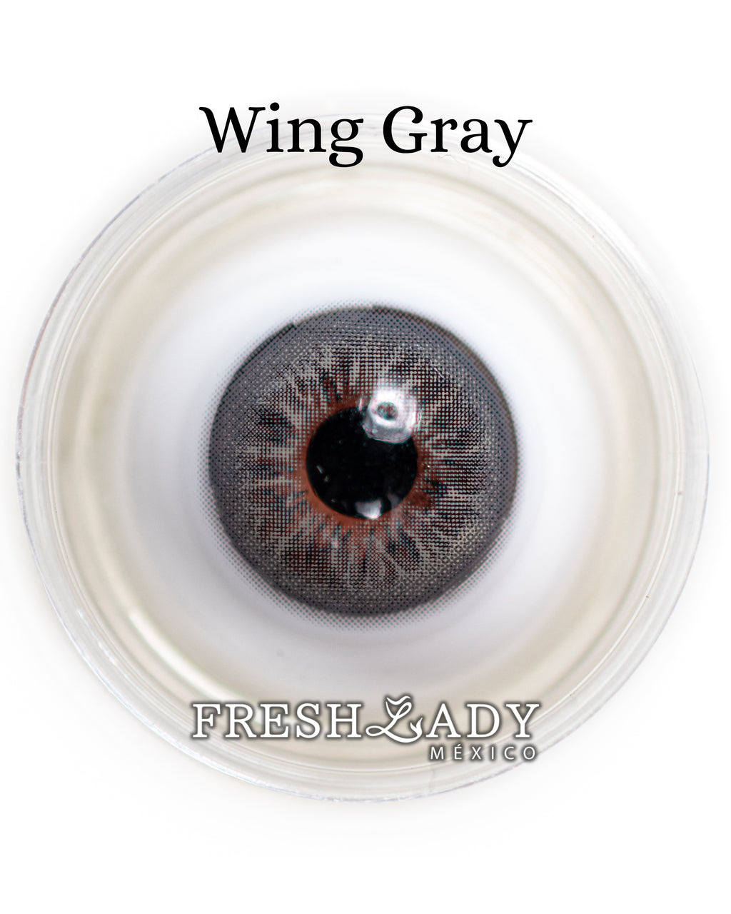 Gray Wing: ANGELIC GLOW CAJA de 10 lentes